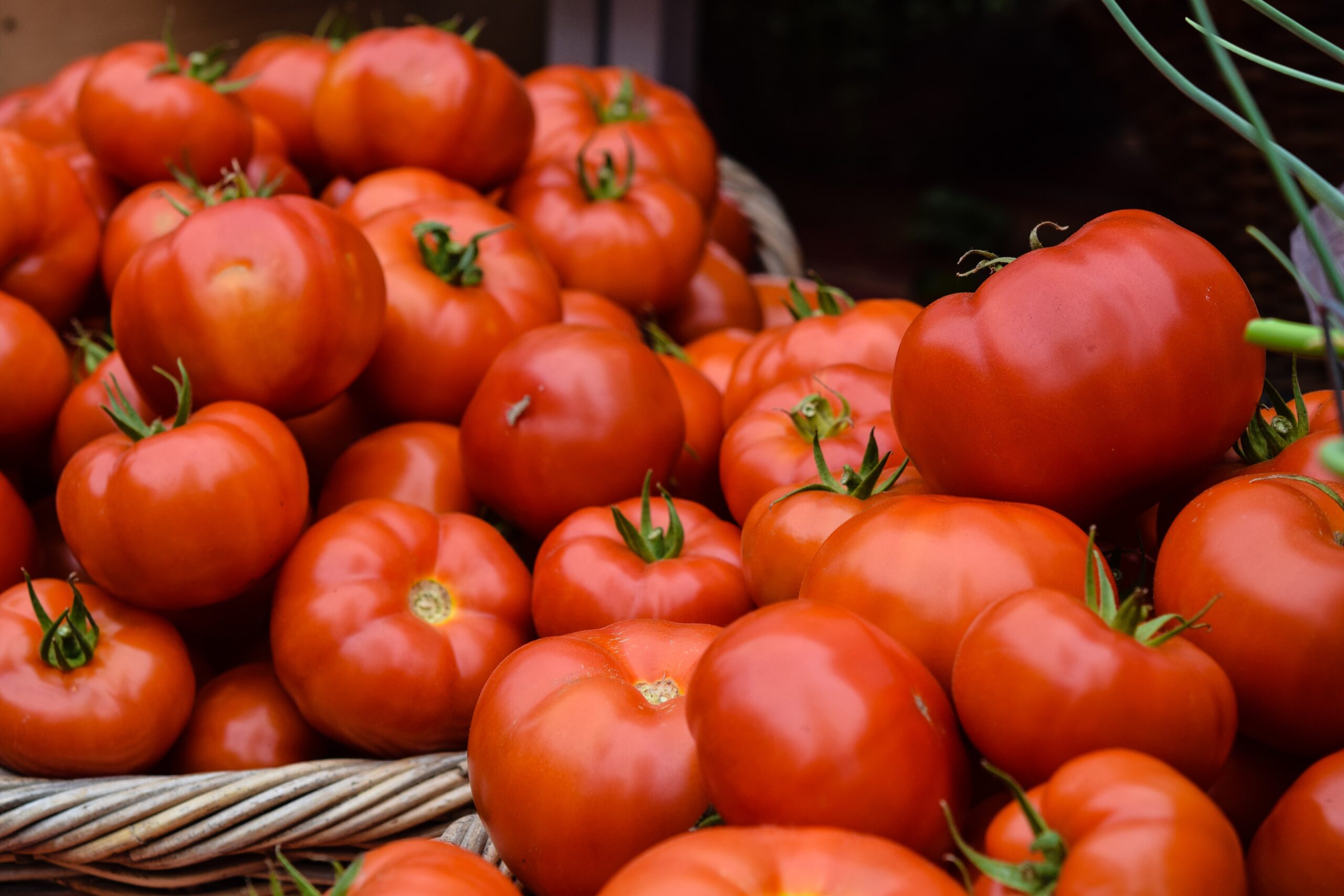 Tomatoes fruit and vegetable products flow wrapped packaged Redpack Packaging machinery Tomatoes fruit and vegetable products flow wrapped packaged Redpack Packaging machinery