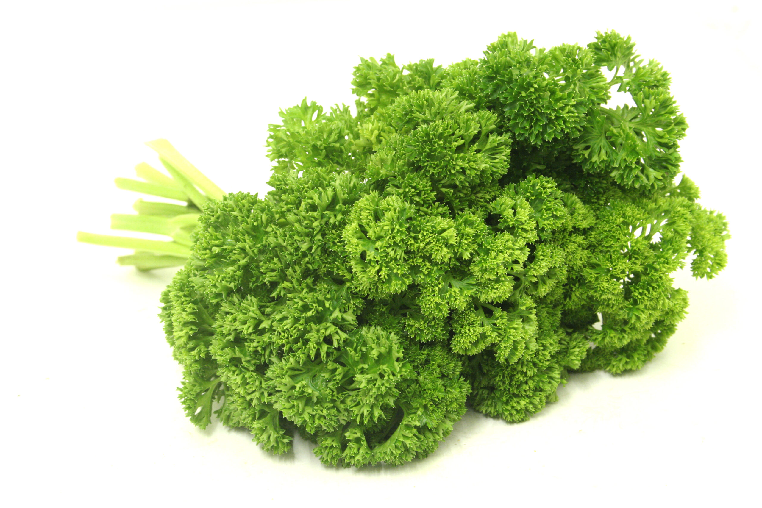 Fresh Parsley , herbs, fruit and vegetable products flow wrapped packaged Redpack Packaging machinery